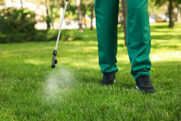 Best Pest Removal Services  in Westchase, FL