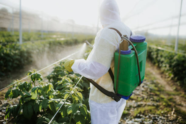 Best Mosquito Control Services  in Westchase, FL